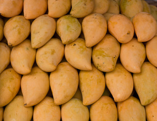 Ripe mangoes sold in the bazaar
