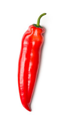 red pepper on white background