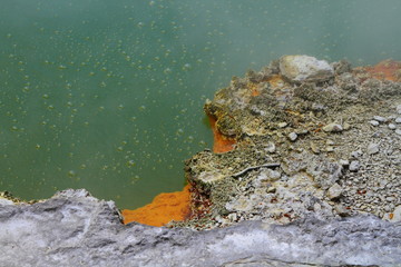 Artist’s Palette