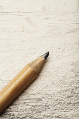 Drawing of artist by pencil on paper