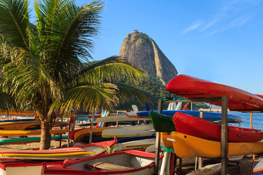 Sugarloaf boats palm tree red beach (praia vermelha), Rio de Jan