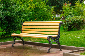 Fototapeta na wymiar bench in the park after the rain