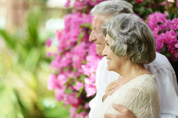 Naklejka premium Happy elder couple
