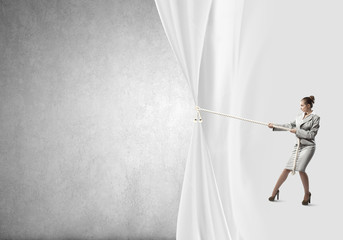 Presentation of ideas