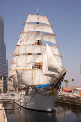 日本丸　総帆展帆 Nippon Maru