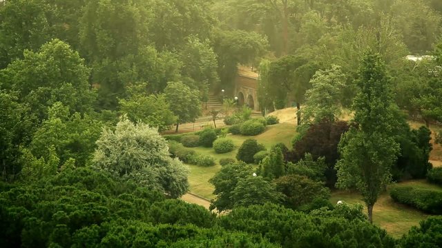 Lluvia parque