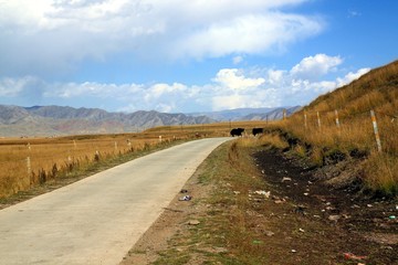 Fototapeta na wymiar Tibetan Plateau scenery