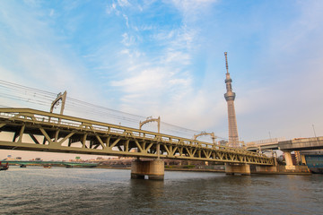 Fototapeta premium Tokyo city and Tokyo skytree at dusk