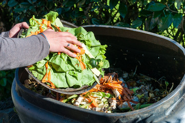 Composting - 66301151