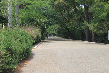 Obraz premium 夙川沿いの遊歩道