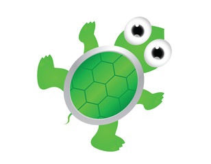 Cute turtle cartoon