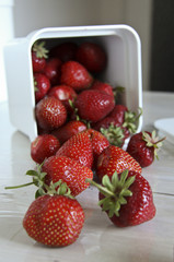 still life with strawberries