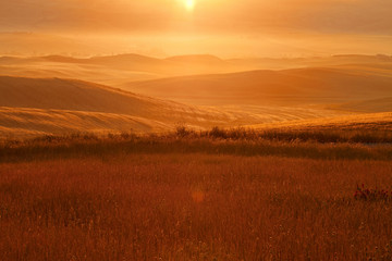 Fototapeta premium Countryside, San Quirico d`Orcia , Tuscany, Italy