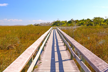 Fototapeta na wymiar Boardwalk Through a Wetland Marsh