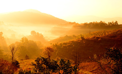 Grass Fields on Mountain at Sunrise