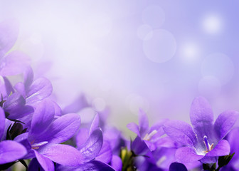 Abstrakter Frühlingshintergrund mit lila Blumen