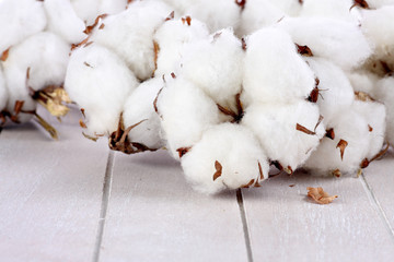 Branches of cotton on wood