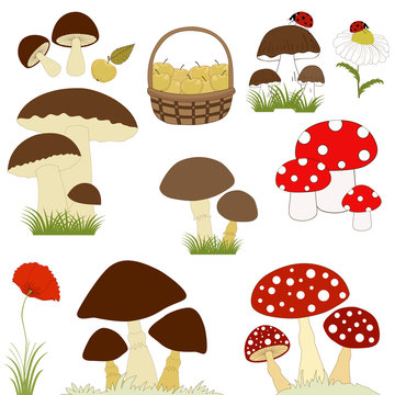 Set of cartoon mushrooms