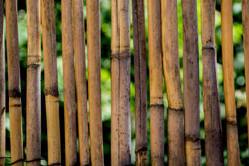 background, wallpaper, rattan, bamboo,