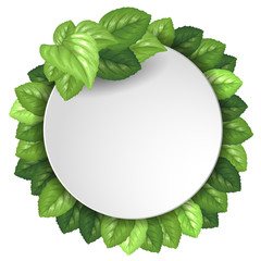 Fototapeta premium Banner with green leaves