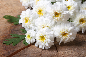 Obraz premium A bouquet of small white chrysanthemums closeup