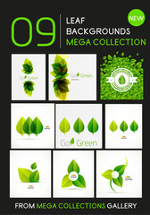 Mega collection of vector green leaf compositions