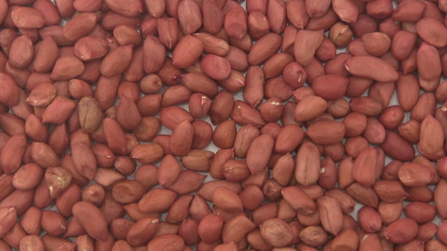 Close up of shelled Peanuts