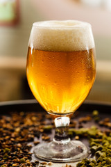 beer in the bar