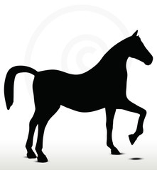 horse silhouette in Show Horse position