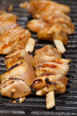 Grilled chicken skewers