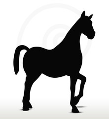 horse silhouette in Show Horse position