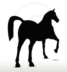horse silhouette in Show Horse position