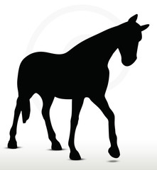 horse silhouette in Walking Head Down position