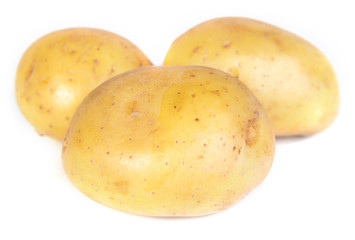 potato