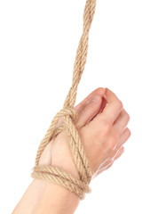 Tied hands, isolated  white