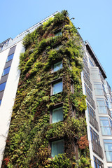 ecological skyscraper
