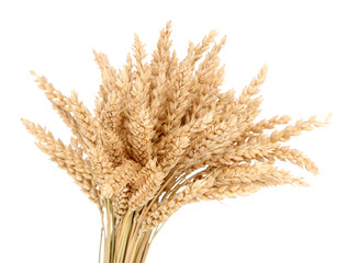 Fototapeta premium Sheaf of wheat isolated on white