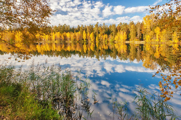 autumnal lake near the forest