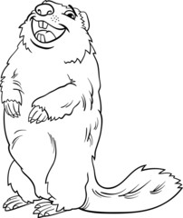 marmot animal cartoon coloring book