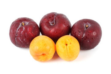 Apricot and Prune