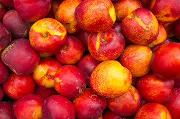 Nectarines