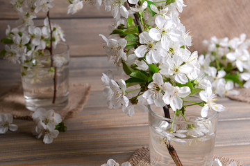 Beautiful fruit blossom in glass on table on grey background