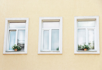 Fototapeta na wymiar Windows with flowers in pots