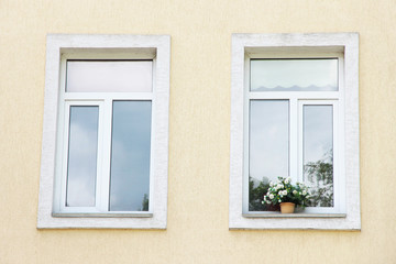 Windows with flowers in pots