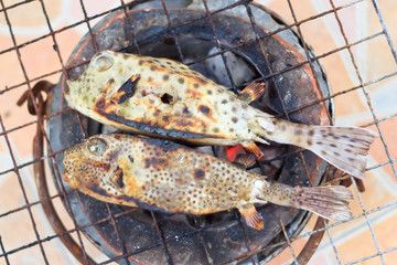 Puffer on the grill