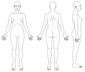 人体図女性の略図