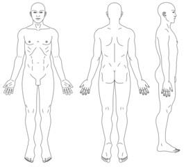 男性人体の略図