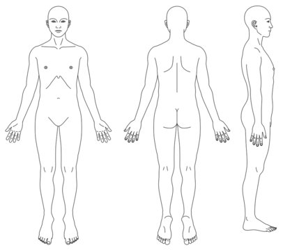 人体略図（性別無し）