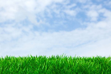 Green grass and blue sky