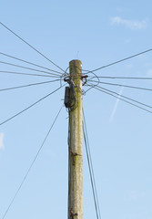 Looking up at a telegraph pole